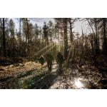 A woodland walk - credit - prgloo.com