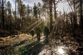 A woodland walk - credit - prgloo.com