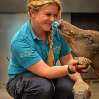 Chester Zoo animal carer (Credit: DCG/Chester Zoo)