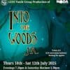 "ErewArts" Richard chats to LEOS youth group about their upcoming show Into The Woods jr,
