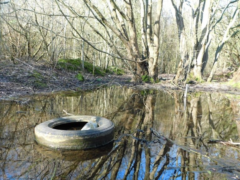 Picture: Eddie Bisknell