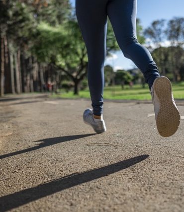 Image by Daniel Reche from Pixabay